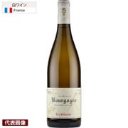 ブルゴーニュ ブラン 2013 750ml フランス/ブルゴーニュ [白ワイン]