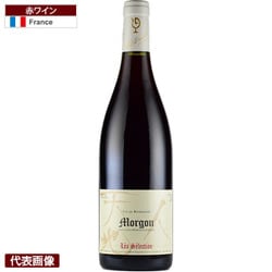 モルゴン 1995 750ml フランス/ブルゴーニュ [赤ワイン]