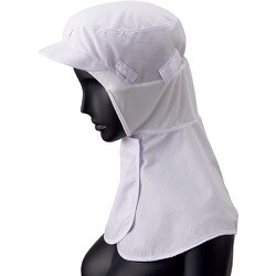 RN-6910-M [サンペックス フード]