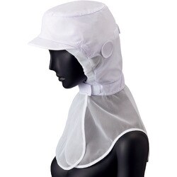 RN-6950 [サンペックス フード]