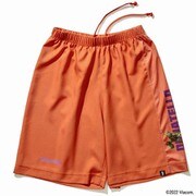 SJP22178T [ブリック ジュニア 布帛パンツ タートルズ キャラクターズ サイド 150cm サイズ]