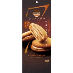 ランデブール 5枚