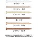 1800030 [WAKAI ステンレス プリントネイル ケーシング ベージュ 3-C 17X25]