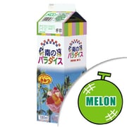 氷みつ 南のパラダイス メロン 1L