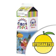 氷みつ 南のパラダイス 日向夏 1L