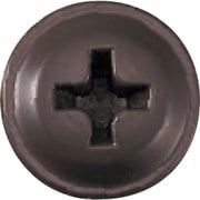 PS027SR [WAKAI ステンレス 板金パッキンビス 新茶 4.3X27]