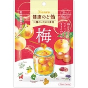 健康のど飴梅 90g