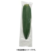 XOI3001 [真空笹葉（1パック 100枚入り）5141 S]