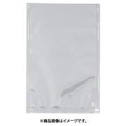 XSVA209 [規格袋 飛竜 Nタイプ N-9a 1000枚入]