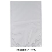 XSVA211 [規格袋 飛竜 Nタイプ N-11a 1000枚入]