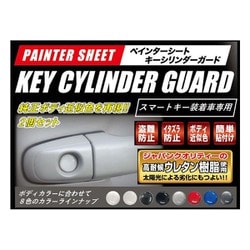 PKE1SW [ペインターシート キーシリンダーガード 2個セット ホワイト]