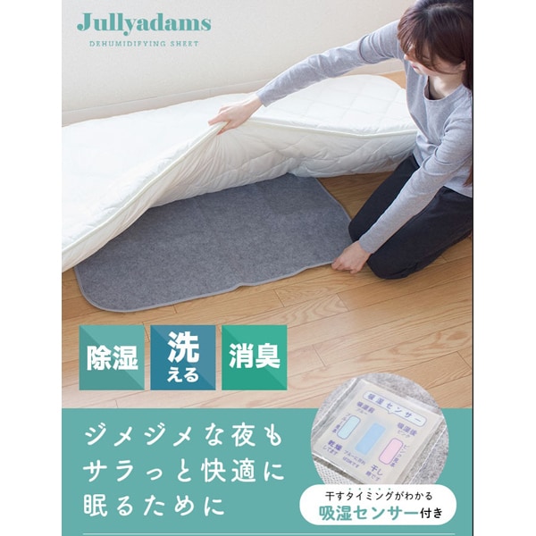 ジュリーアダムス Jullyadams17YL042Z22 [備長炭入り洗える消臭除湿シート ワイドキングサイズ 220×180cm 3畳用]Ω