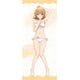 やはり俺の青春ラブコメはまちがっている。完 描き下ろし BIGタペストリー 白ビキニ Ver. 一色いろは [キャラクターグッズ]