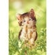 28-817s つくしと子猫 [ジグソーパズル 300ピース（完成サイズ：26×38cm）]