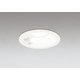 ダウンライト/φ100/白熱灯器具60W相当 OD361459R