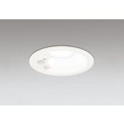 ダウンライト/φ100/白熱灯器具60W相当 OD361459R