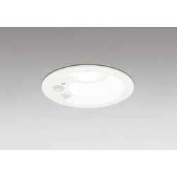 ダウンライト/φ100/白熱灯器具60W相当 OD361460R