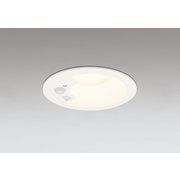 ダウンライト/φ100/白熱灯器具60W相当 OD361461R