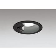 ダウンライト/φ100/白熱灯器具60W相当 OD361463R
