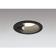 ダウンライト/φ100/白熱灯器具60W相当 OD361464R