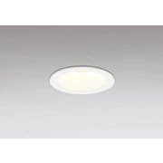 ダウンライト/φ75/白熱灯器具100W相当 OD361493BR