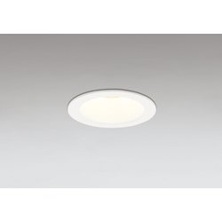 ダウンライト/φ75/白熱灯器具100W相当 OD361495BR