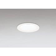 ダウンライト/φ75/白熱灯器具100W相当 OD361498R