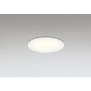 ダウンライト/φ75/白熱灯器具100W相当 OD361499R