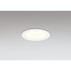 ダウンライト/φ75/白熱灯器具100W相当 OD361505R
