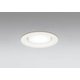 ダウンライト/φ100/白熱灯器具100W相当 OD361509WDR