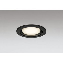 ダウンライト/φ100/白熱灯器具100W相当 OD361510LDR