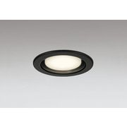 ダウンライト/φ100/白熱灯器具100W相当 OD361510LDR