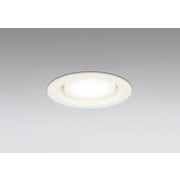 ダウンライト/φ100/白熱灯器具60W相当 OD361511LDR
