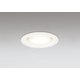 ダウンライト/φ100/白熱灯器具100W相当 OD361513BCR