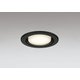 ダウンライト/φ100/白熱灯器具100W相当 OD361514BCR