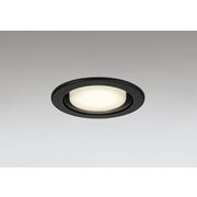 ダウンライト/φ100/白熱灯器具100W相当 OD361514BCR