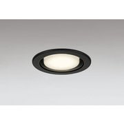 ダウンライト/φ100/白熱灯器具60W相当 OD361516BCR