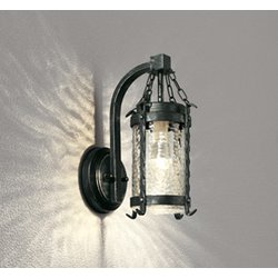 エクステリアライト/防雨型/白熱灯器具40W相当 OG254240LCR