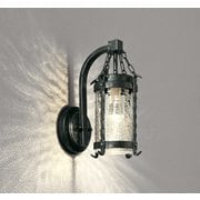 エクステリアライト/防雨型/白熱灯器具40W相当 OG254240LCR