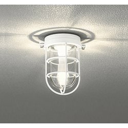 ブラケット/防雨型/白熱灯器具40W相当 OG254607LR