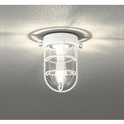 ブラケット/防雨型/白熱灯器具40W相当 OG254607LR