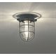 ブラケット/防雨型/白熱灯器具40W相当 OG254608LR