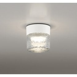 エクステリアライト/防雨・防湿型/白熱灯器具60W相当 OG264046LR
