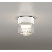 エクステリアライト/防雨・防湿型/白熱灯器具60W相当 OG264046LR