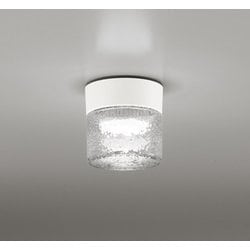 エクステリアライト/防雨・防湿型/白熱灯器具60W相当 OG264046NR