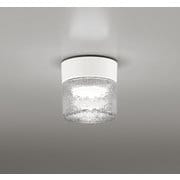 エクステリアライト/防雨・防湿型/白熱灯器具60W相当 OG264046NR