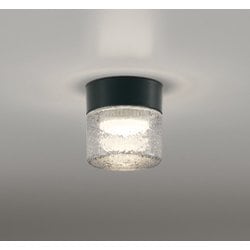 エクステリアライト/防雨・防湿型/白熱灯器具60W相当 OG264047LR