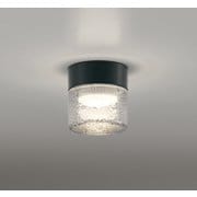エクステリアライト/防雨・防湿型/白熱灯器具60W相当 OG264047LR