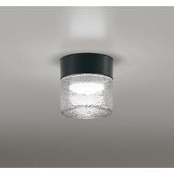 エクステリアライト/防雨・防湿型/白熱灯器具60W相当 OG264047NR