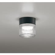 エクステリアライト/防雨・防湿型/白熱灯器具60W相当 OG264047NR